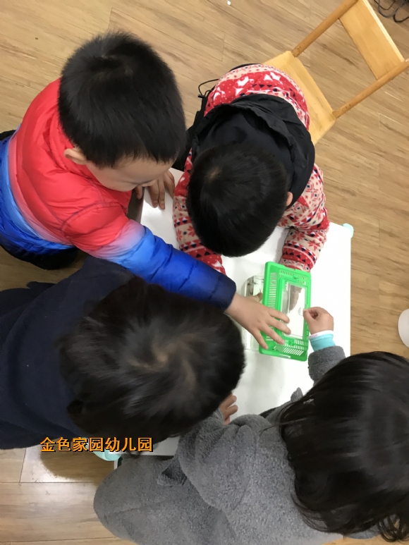 附件：IMG_6430.JPG