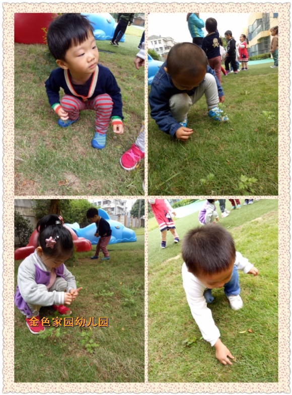 附件：3.jpg