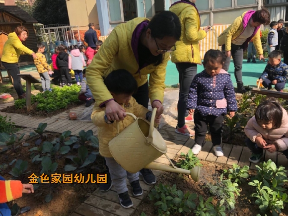 附件：IMG_5409.JPG