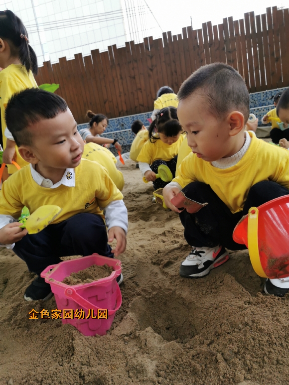 附件：IMG_20191011_093136.jpg
