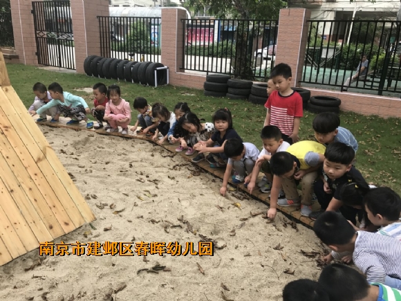 附件：conew_img_8708.jpg