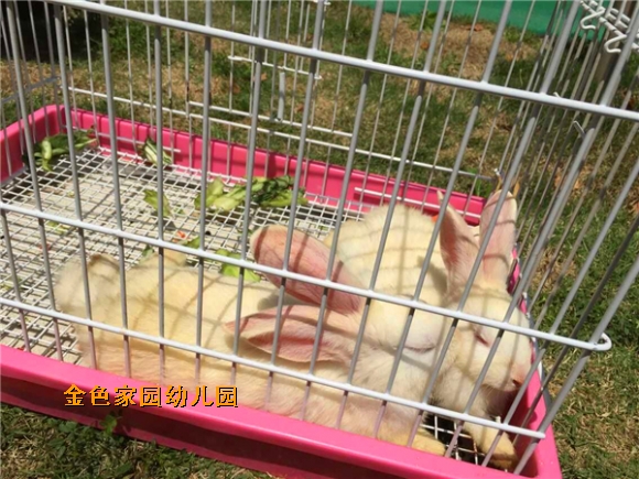 附件：QQ鍥剧墖20150506150349.jpg