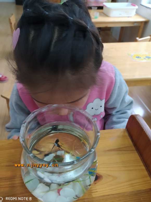 附件：444.jpg