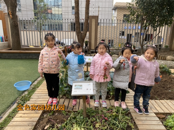 附件：IMG_5386.JPG