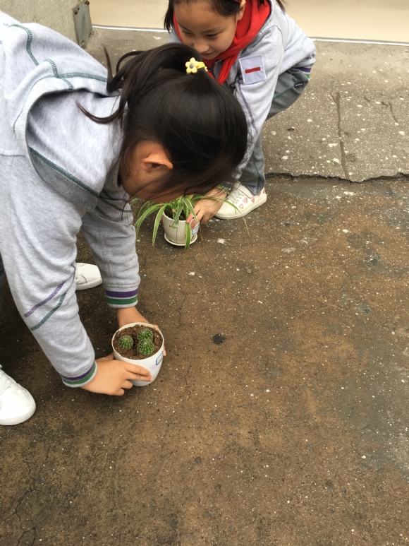 附件：IMG_4228(1).JPG