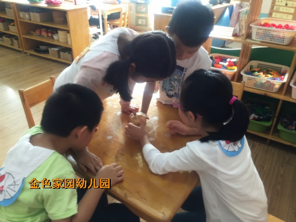 附件：IMG_3995.jpg