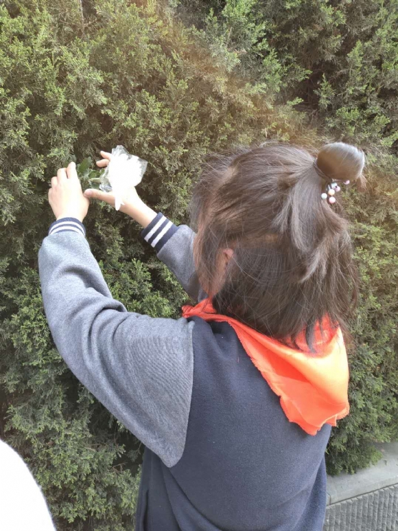 附件:图片4.jpg 附件:图片4.jpg
