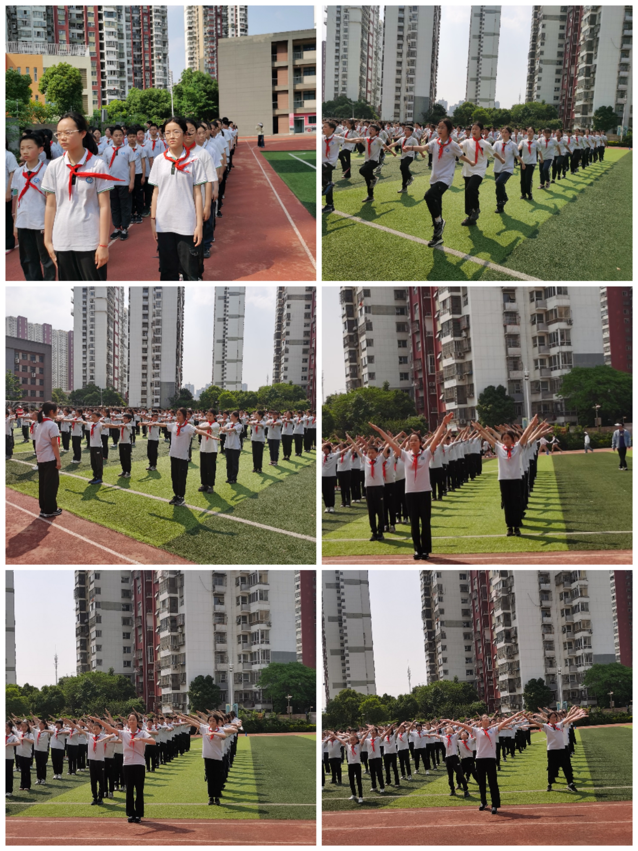 Collage_20240511_155044.jpg