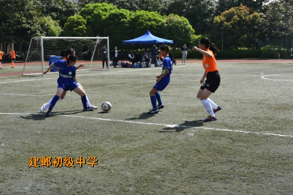 附件：DSC_2178.jpg