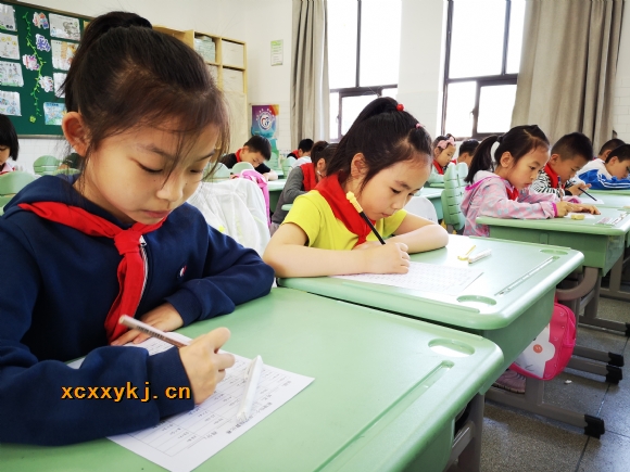 附件：IMG_5782.jpg