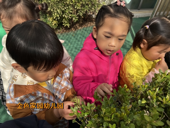 附件：e57d7480318b15538cb644bb9dc909a.jpg