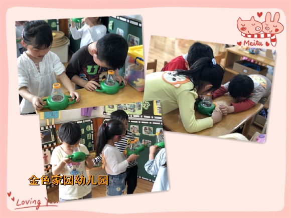 附件：IMG_2898_鍓湰11.jpg