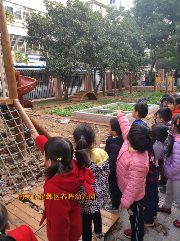 附件：IMG20171121093002.jpg