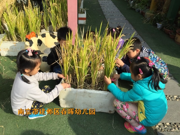 附件：conew_img_6159.jpg