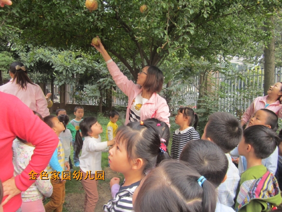 附件：IMG_6227.jpg