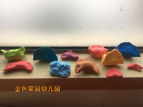 附件：IMG_4610.JPG