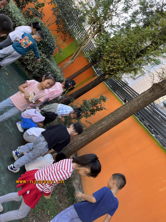 附件：53543afc8e2f1be45735587581f6207c.jpg