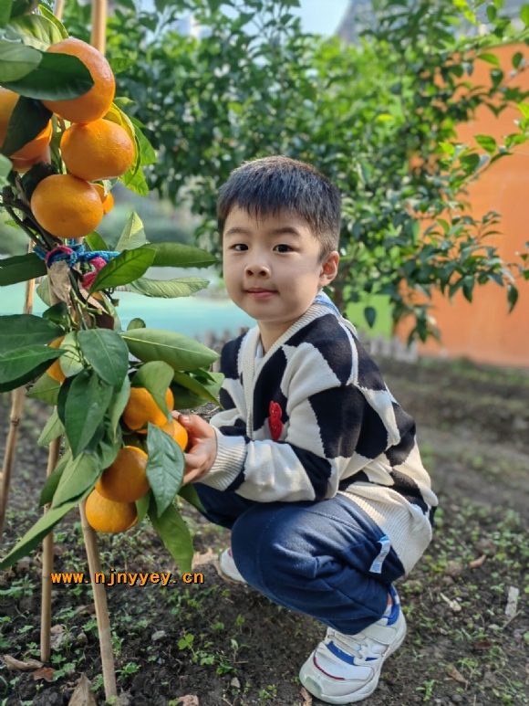 附件：D2088D3F4D3828D3FCD32D72A997F6BF.jpg