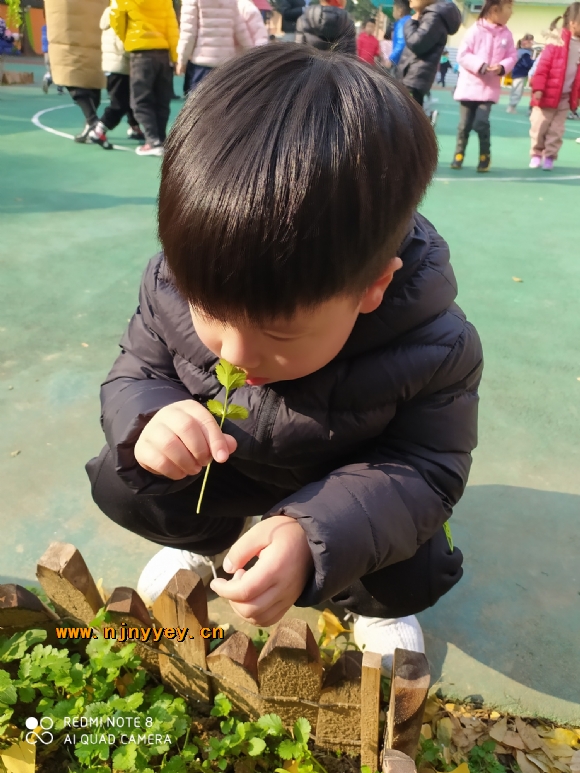 附件：5.jpg