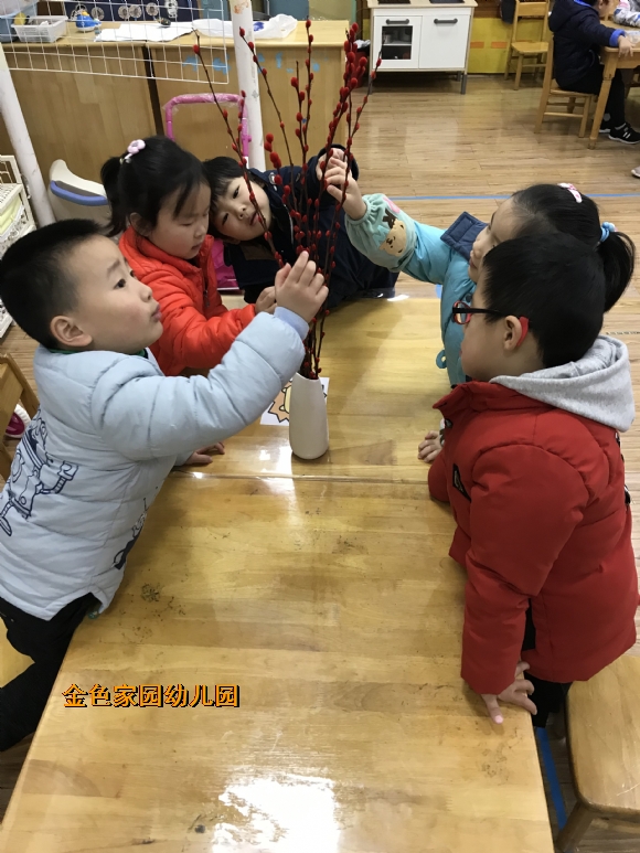 附件：IMG_4757.JPG