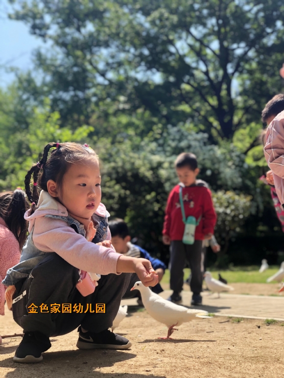 附件：IMG_8197(20210420-142742).JPG
