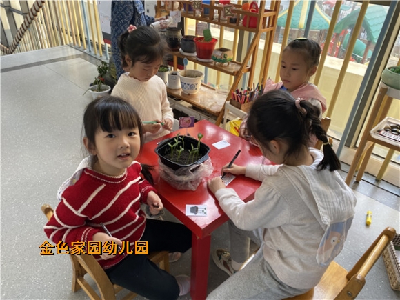 附件：IMG_7120.JPG