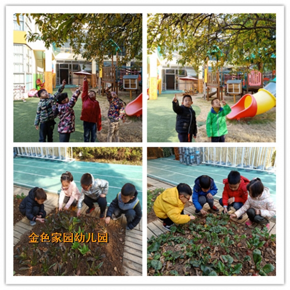 附件：2.jpg