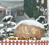 附件:图png.png 附件:图png.png