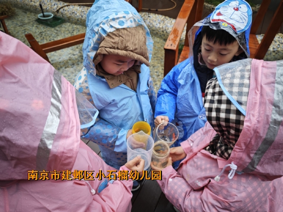 附件：QQ图片20230213110241.jpg