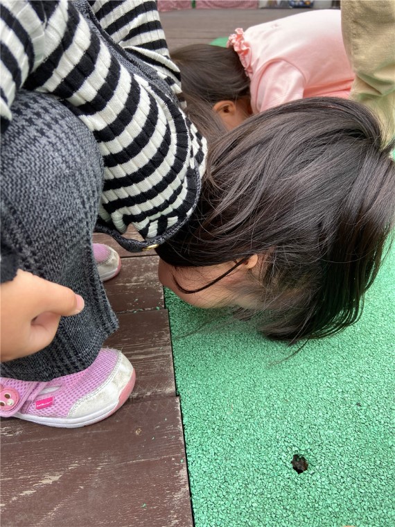 20191014124326048.jpg