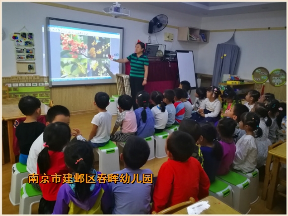 附件：IMG_20181008_153203_副本.jpg