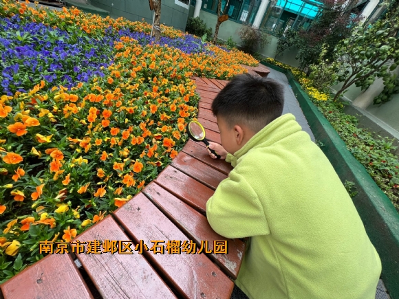 附件：QQ图片20240407095923.jpg