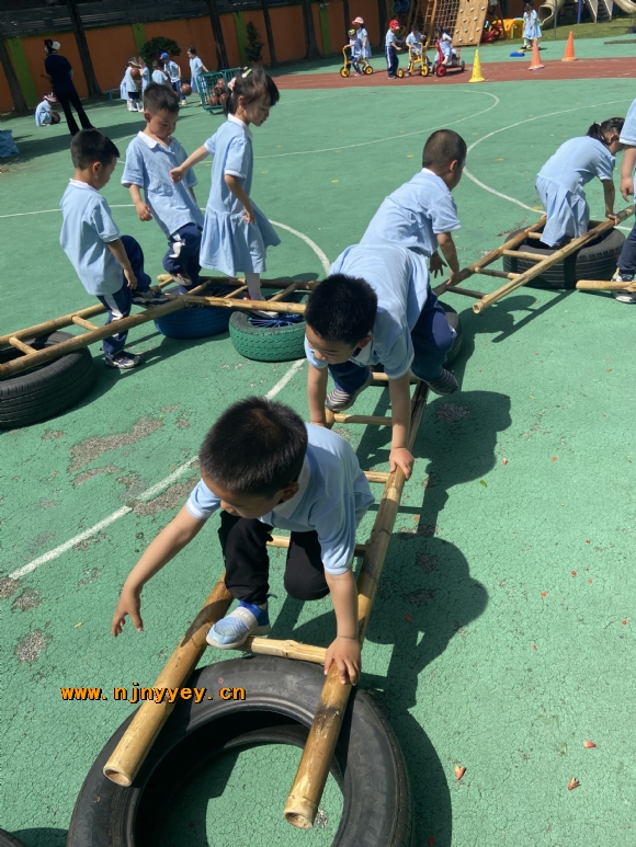 附件：IMG_5482.JPG
