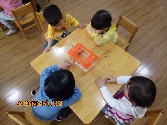附件：IMG20170425101014.jpg
