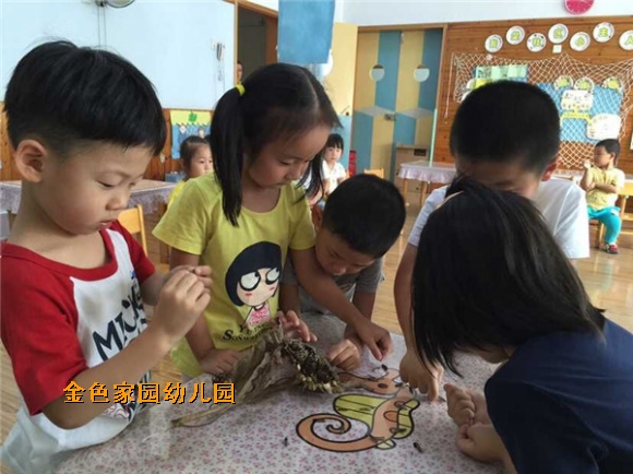 附件：5.jpg