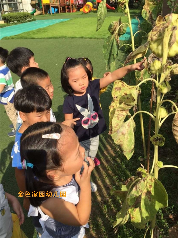 附件：1.jpg