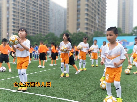 附件：QQ图片20180523145136.jpg
