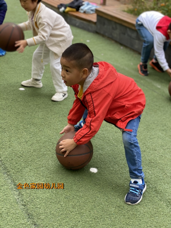 附件：IMG_4145.JPG