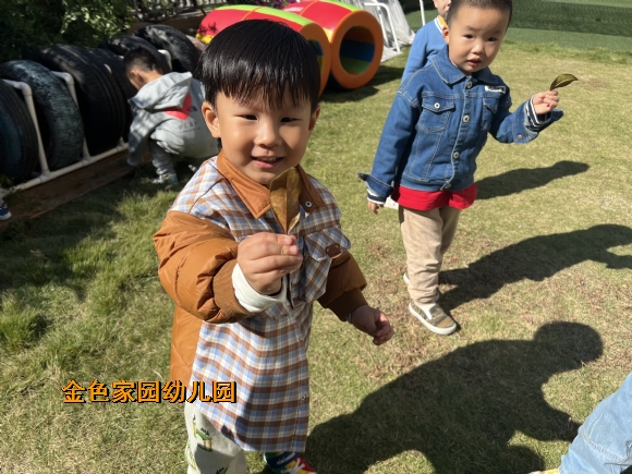 附件：1666317406812.jpg
