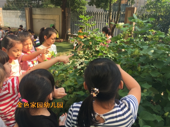 附件：IMG_2534.JPG