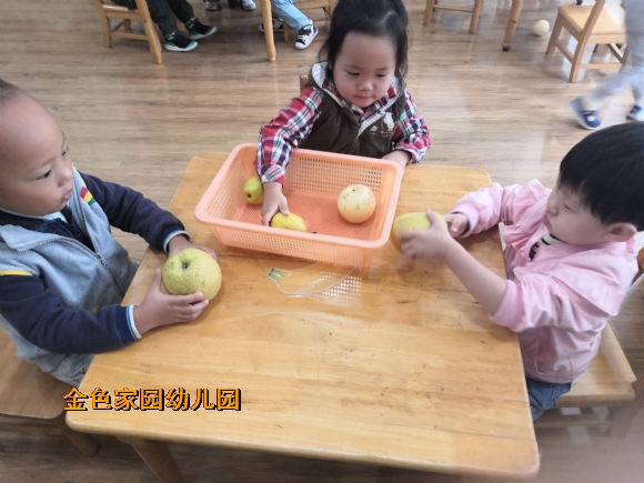 附件：b6f03787-4b0a-4b98-ace3-836b00576329.jpg