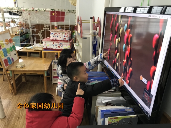 附件：IMG_4343.JPG