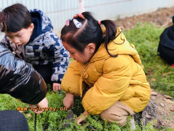 附件：IMG_0380.JPG