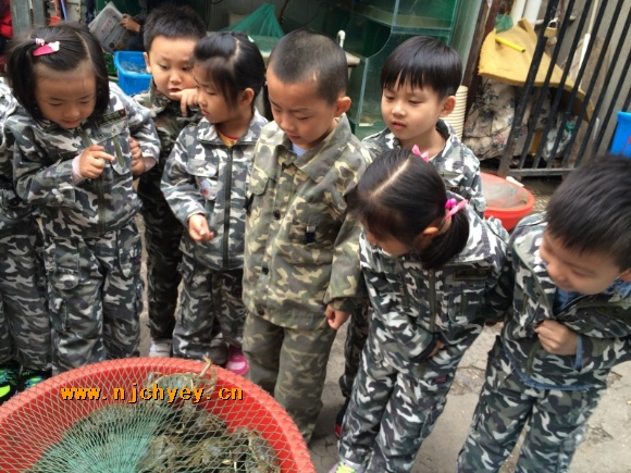 附件：conew_img_7519.jpg