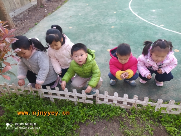 附件：1.6.jpg