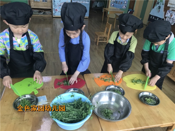 附件：IMG_1740.JPG