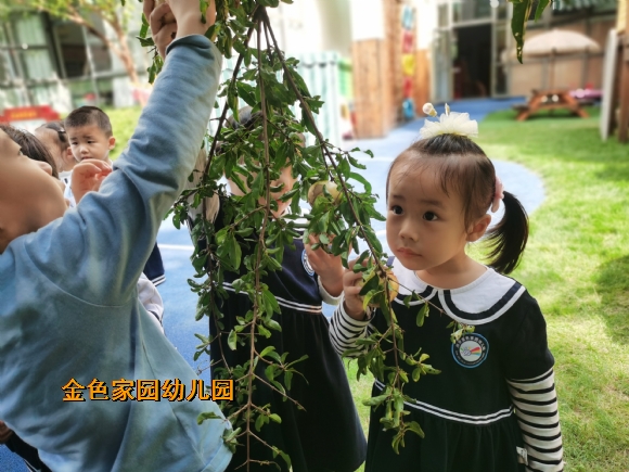 附件：QQ图片20231011163515.jpg