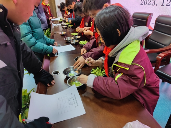 附件：4.png