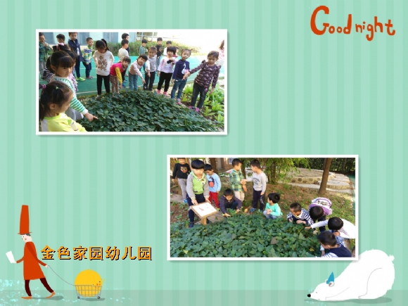 附件：B.jpg
