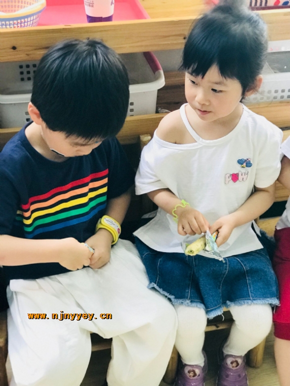 附件：QQ图片20180601135449.jpg